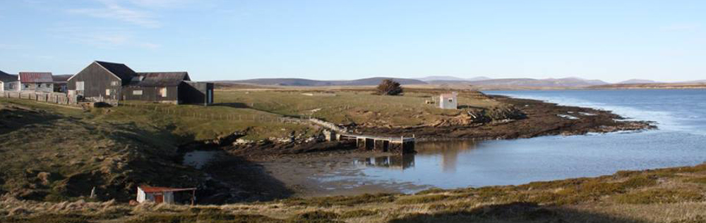 DUNNOSE HEAD, West Falklands